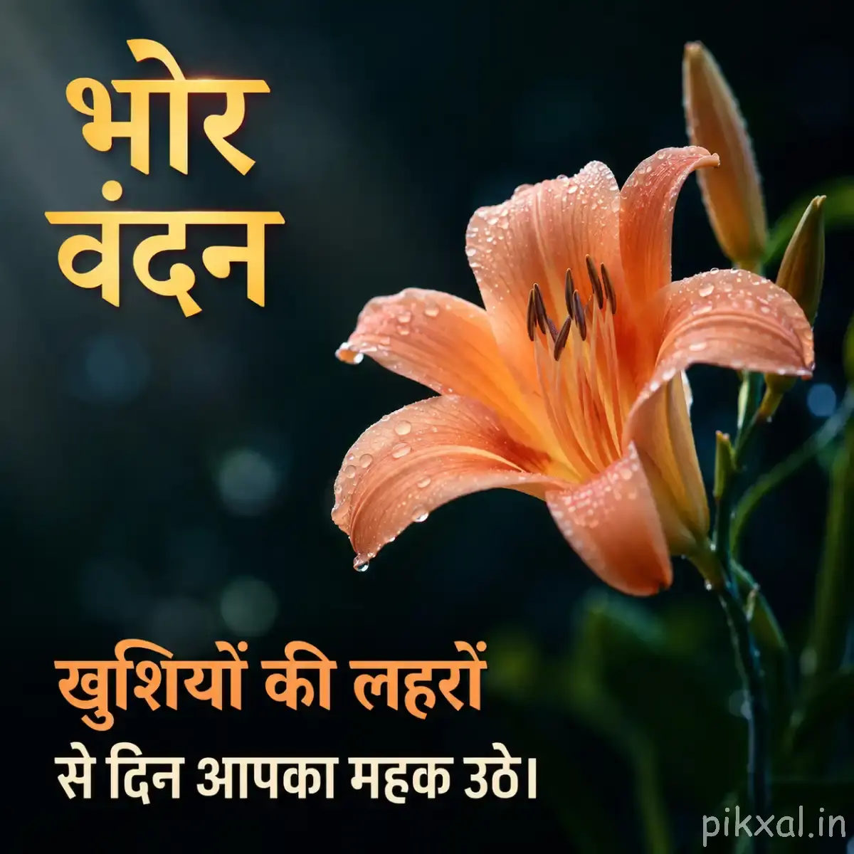 Single peach-orange flower with elongated overlapping petals and a slender green stem