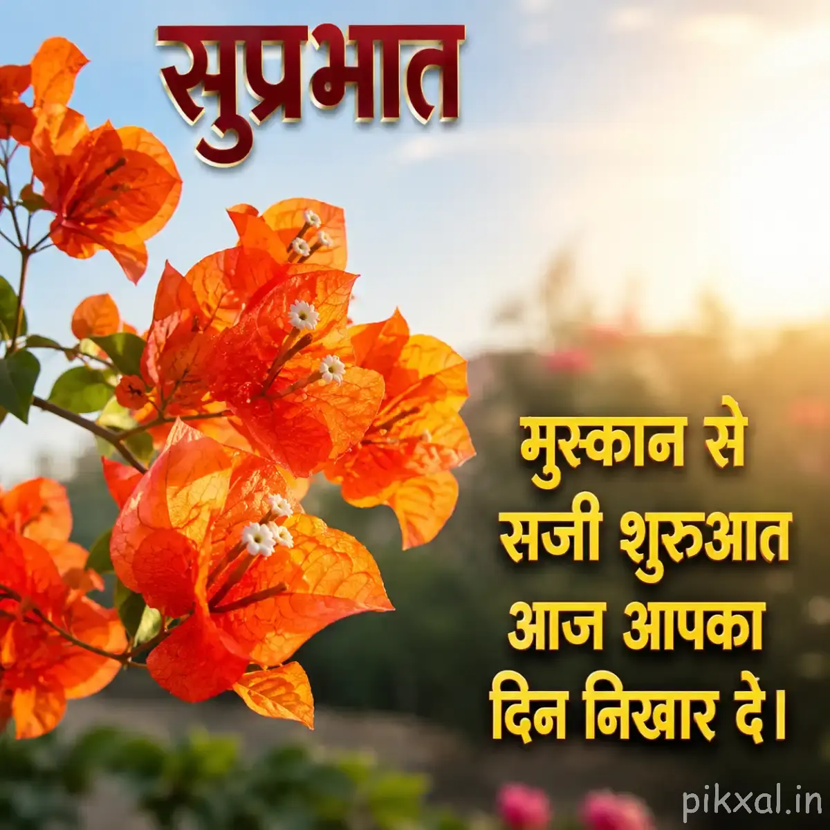 Cluster of orange flowers with open petals and a Hindi Good Morning wish