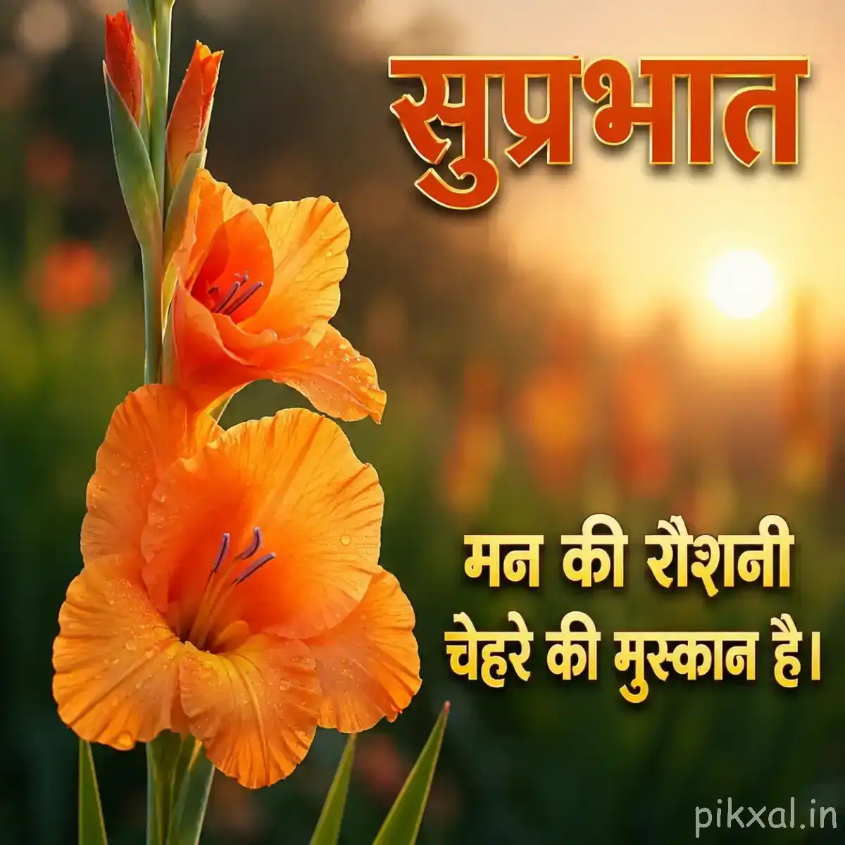 Two orange flowers with broad petals and green leaves against warm sunrise light