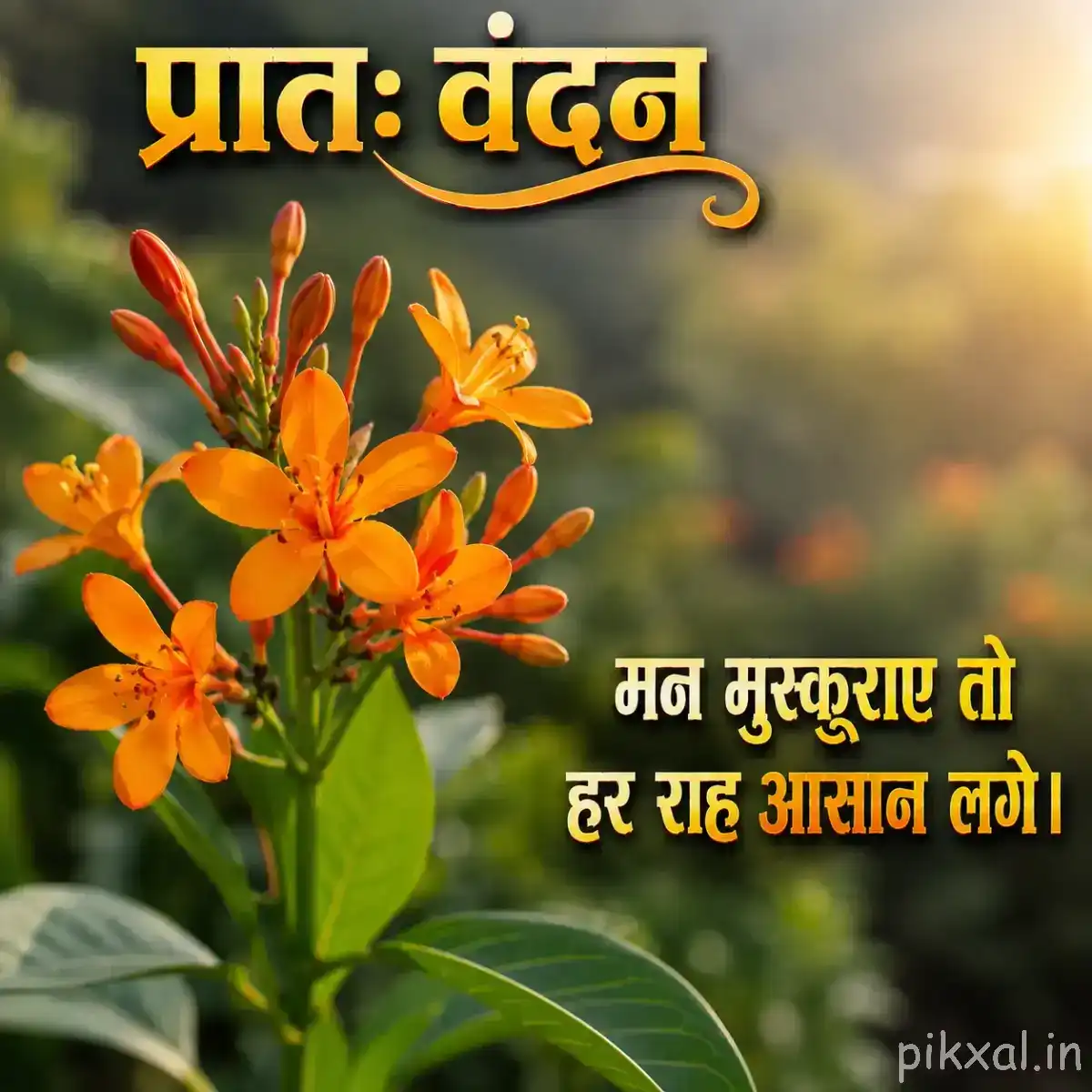 Cluster of orange flowers on leafy stems with a Hindi morning wish