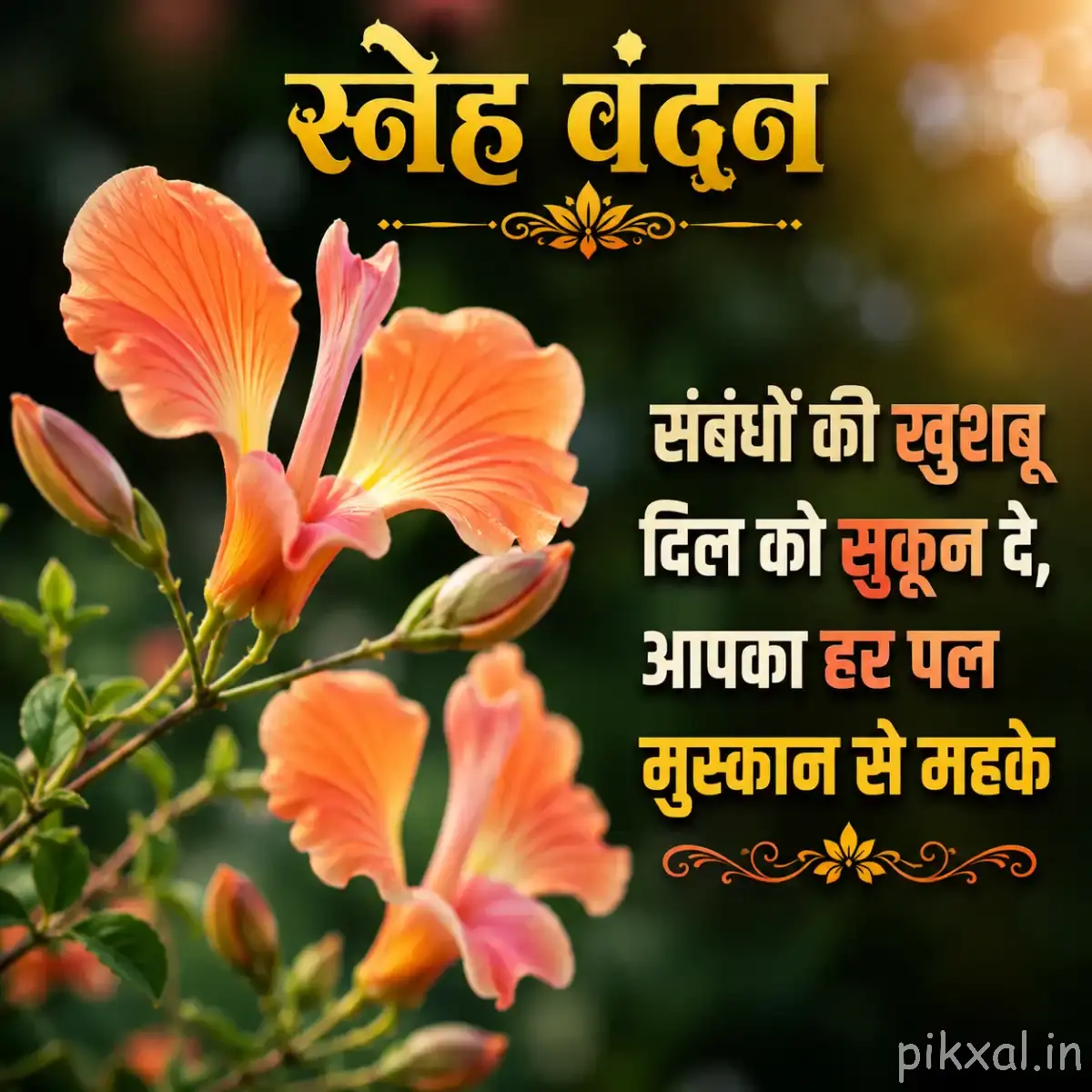 Orange-pink flowers with elongated petals and unopened buds against a softly blurred garden background