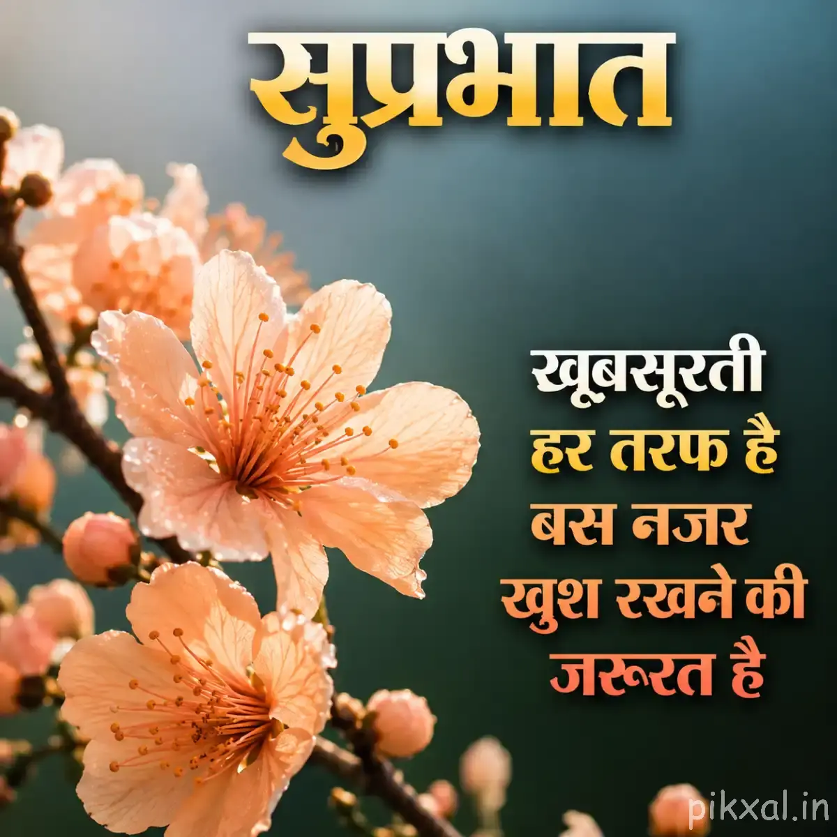 Several pale peach flowers with layered petals and dark centers arranged along a branch with a Hindi morning message