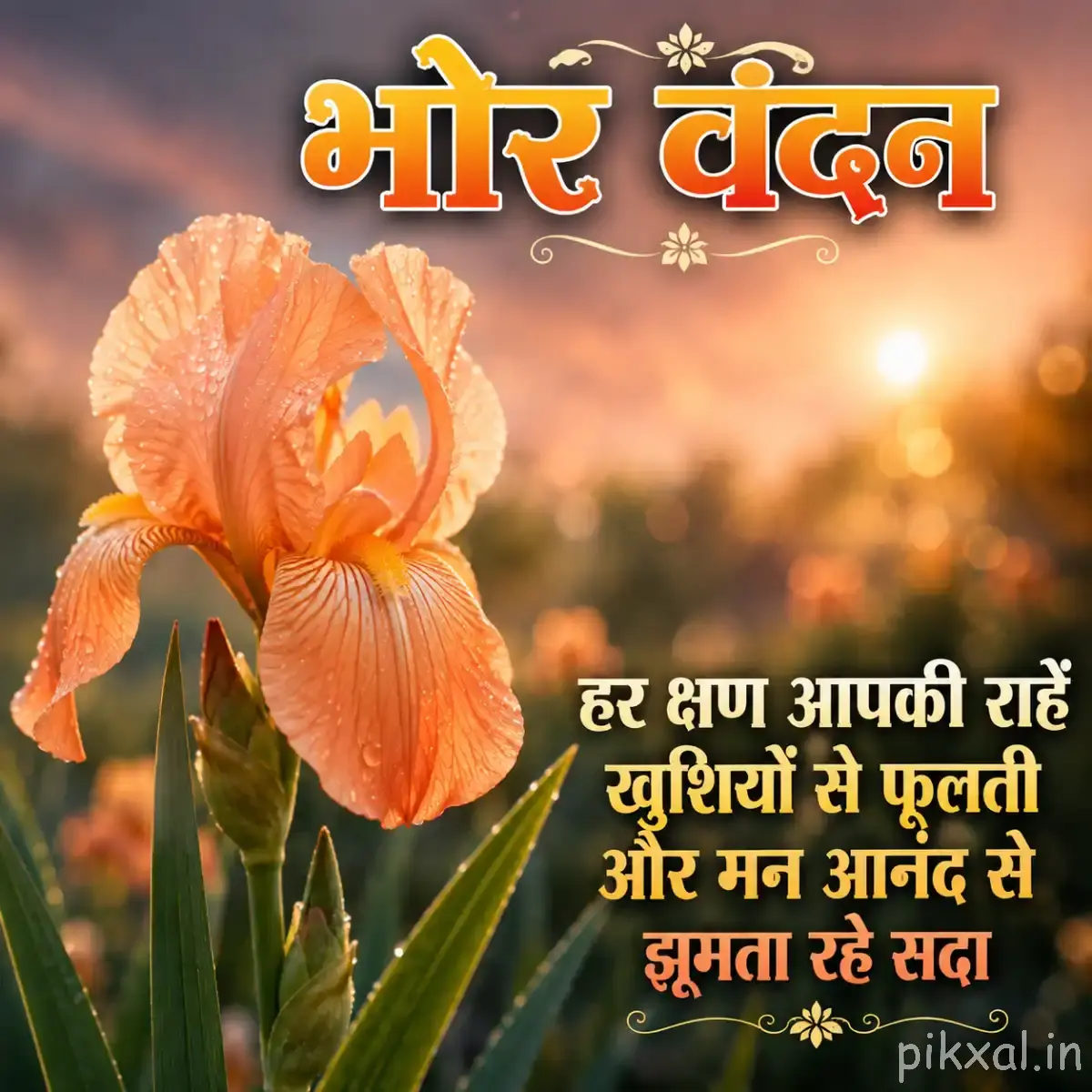Peach-orange upright flowers with elongated petals and green leaves against a warm blurred background with a Hindi morning wish