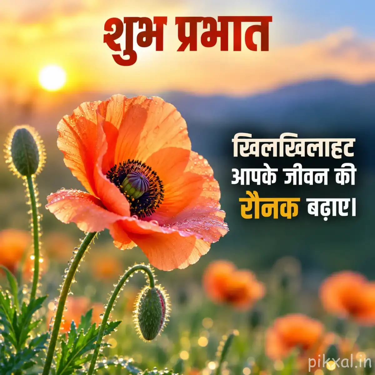 Single peach-orange flower with dark center and unopened buds against a softly blurred garden background