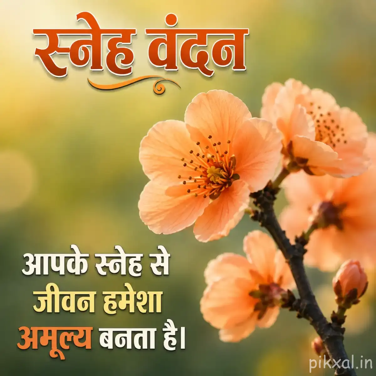 Peach-orange flowers with rounded petals arranged along a flowering branch with a Hindi morning message