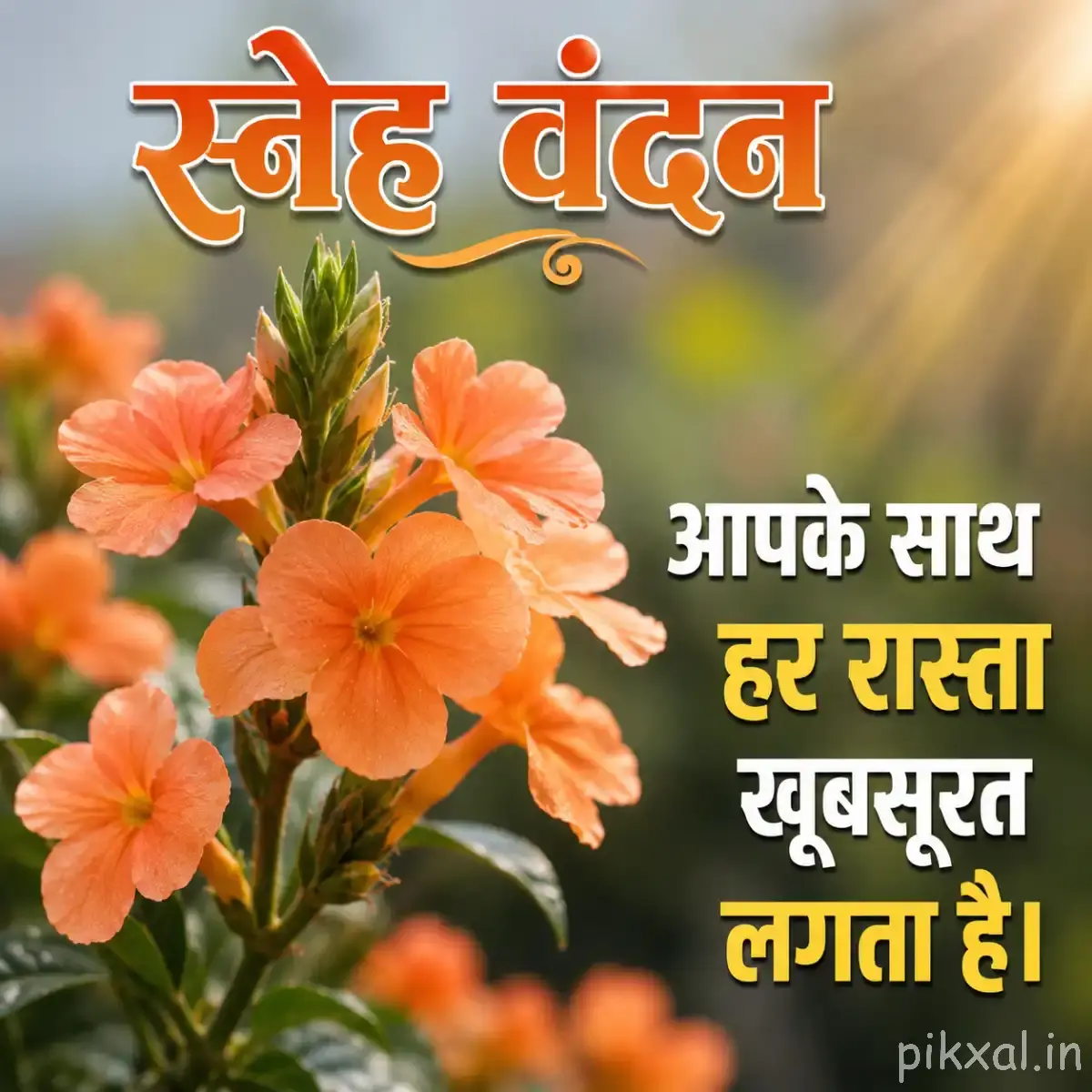 Several peach-orange flowers with rounded petals and green foliage against warm sunlight with a Hindi morning message