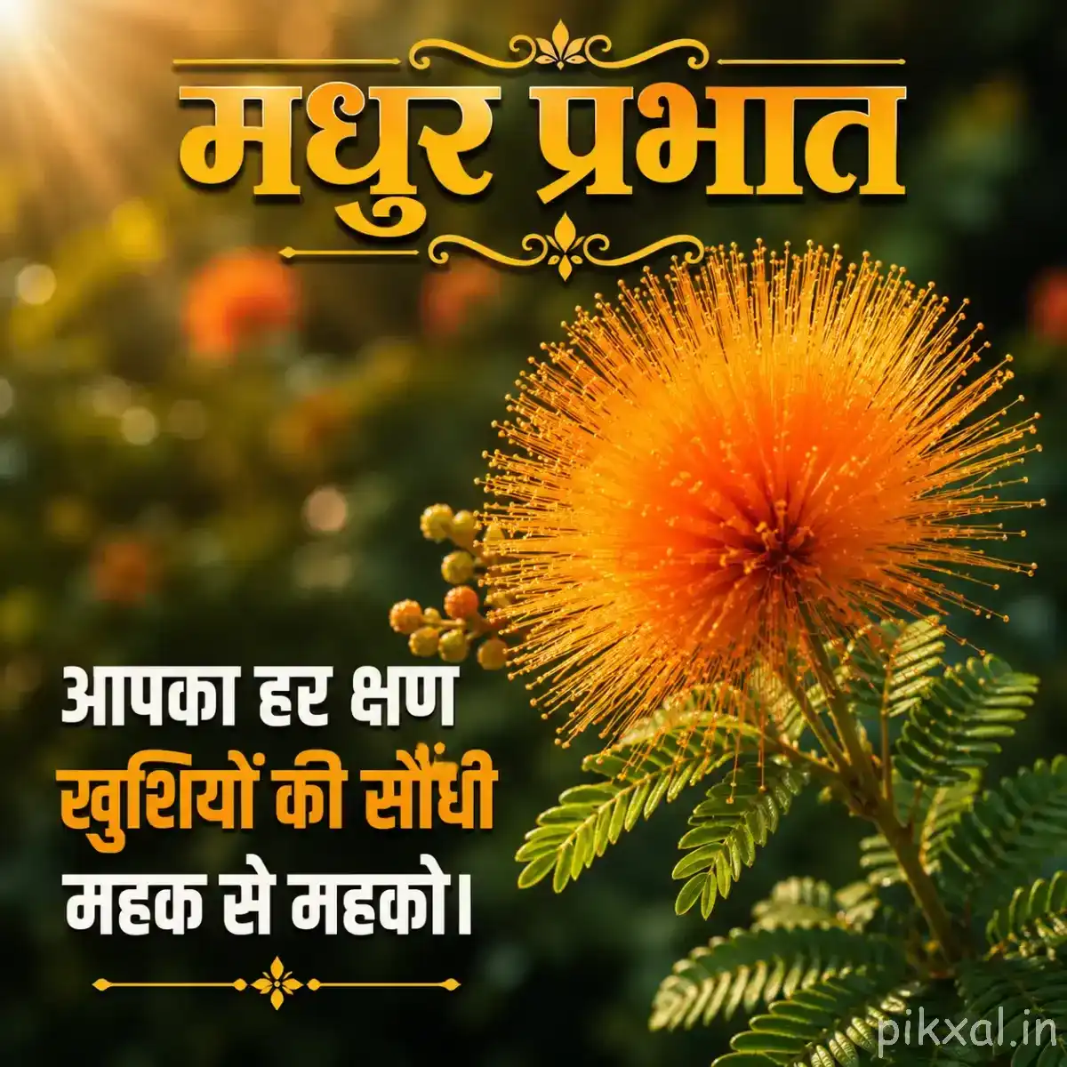 Round orange flower with dense fine petals among fern-like green foliage and a Hindi morning message