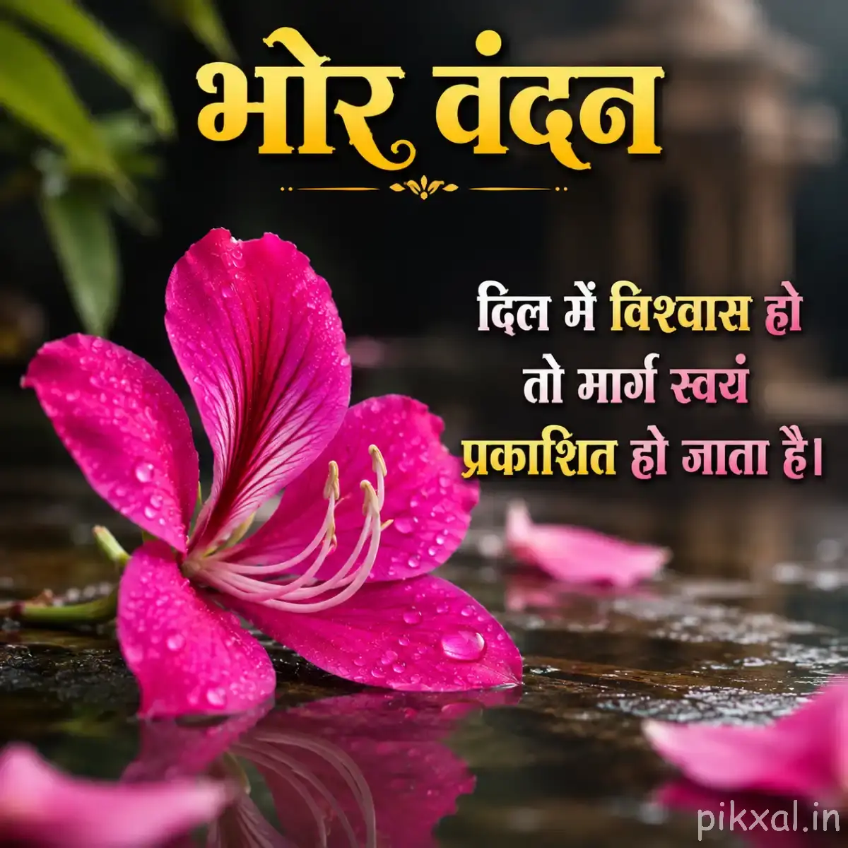 Single vivid pink flower with wide, curved petals against a softly blurred water background and Hindi morning wish