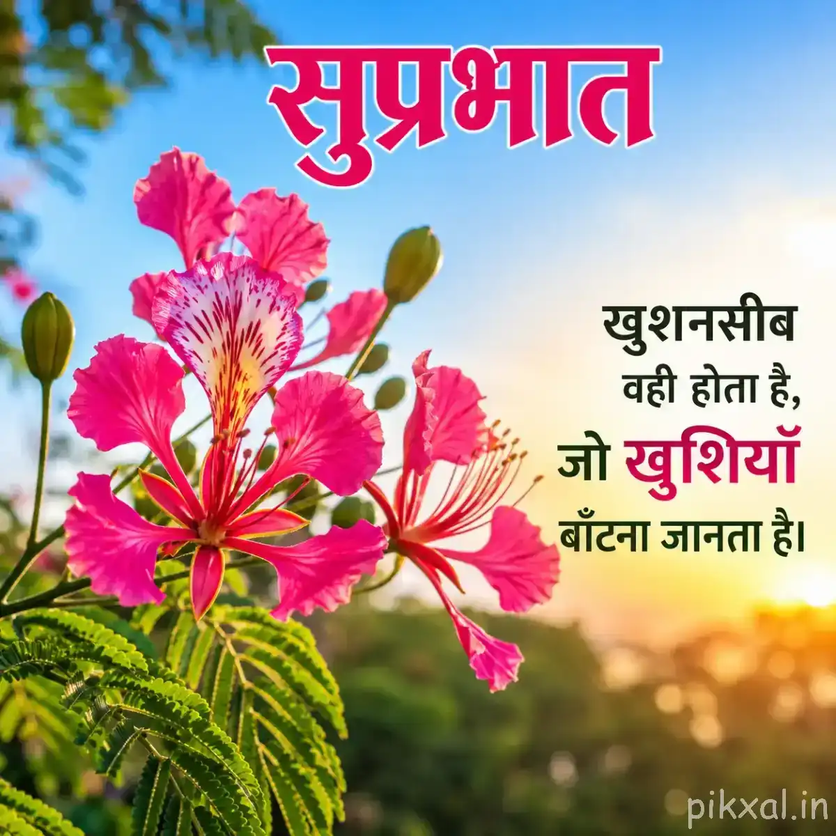 Several pink flowers and buds on a leafy branch against blue sky with a Hindi Good Morning wish