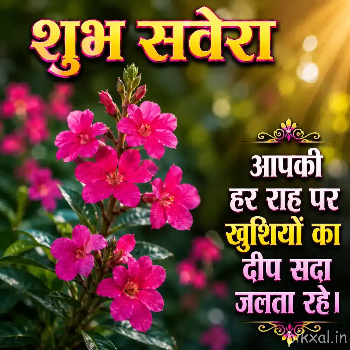 Multiple bright pink flowers in a dense cluster with green foliage and warm blurred sunlight