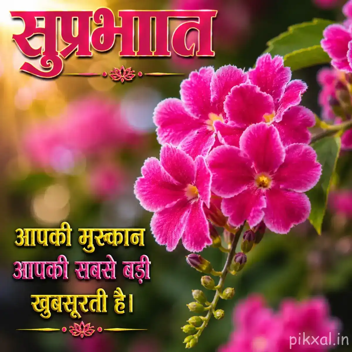 Cluster of small pink flowers with pale centers and green foliage against a softly blurred garden background