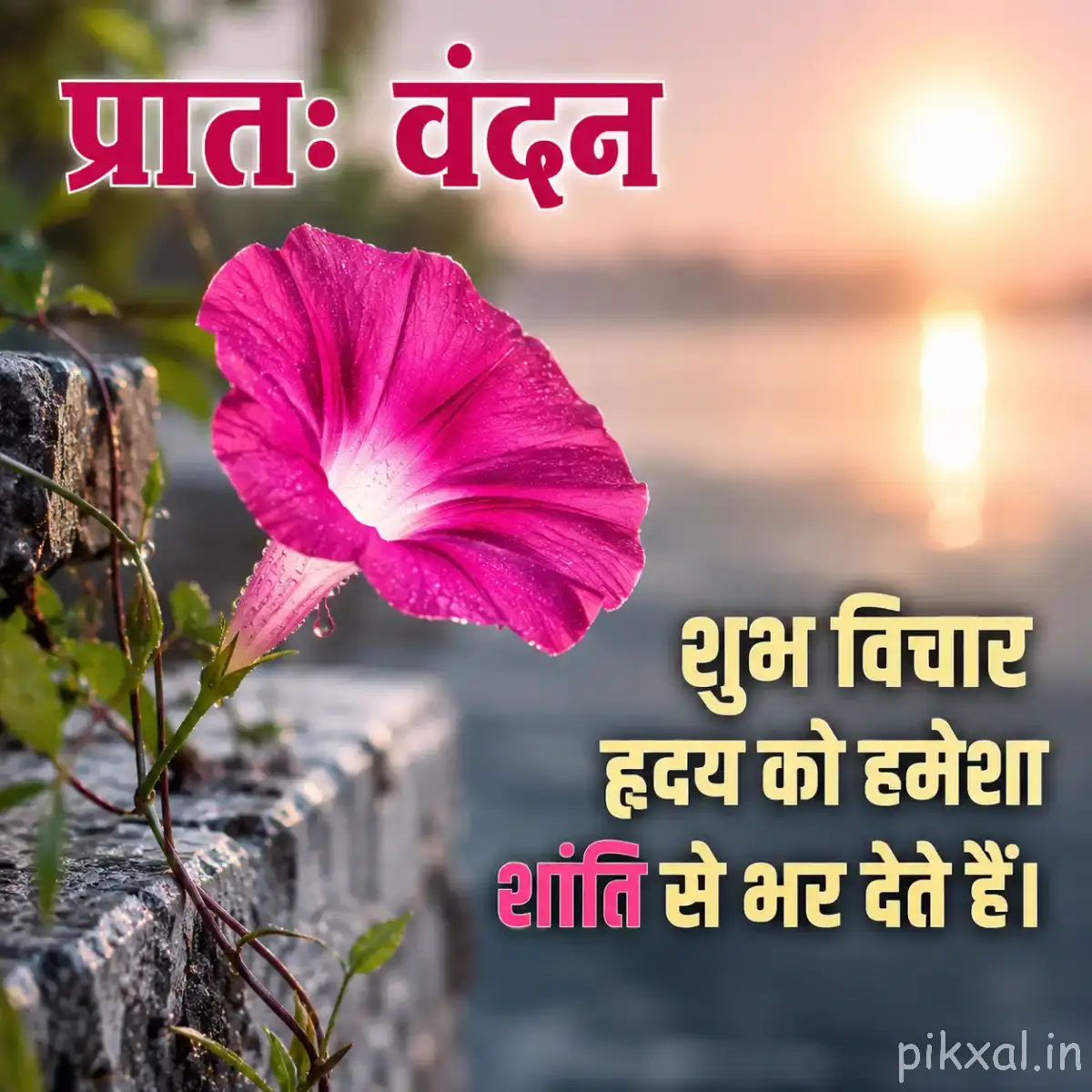 Single pink trumpet-shaped flower beside calm water with a sunrise and Hindi morning message