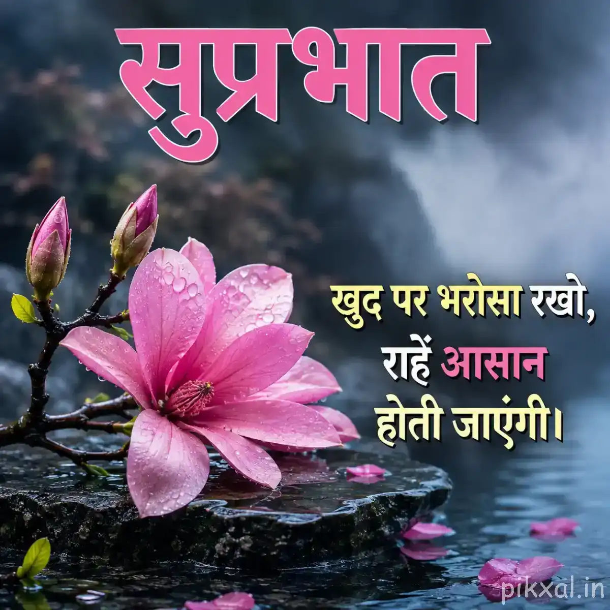 Light pink flower with two unopened buds on a branch beside water and dark rocks