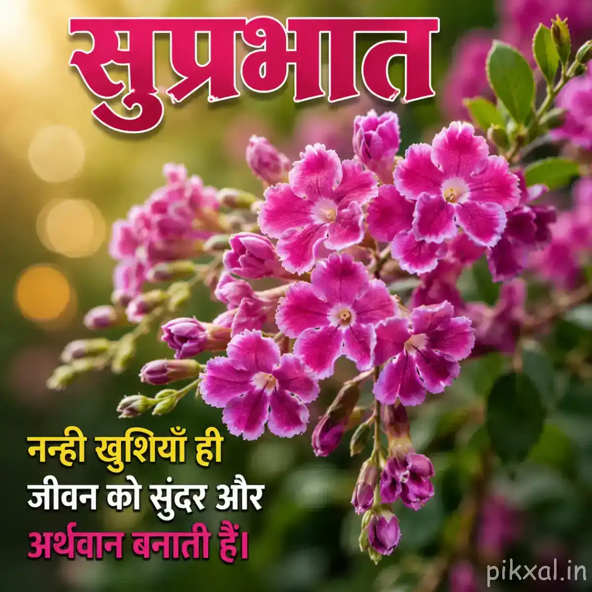 Dense cluster of small pink flowers with pale centers and green leaves against warm golden bokeh