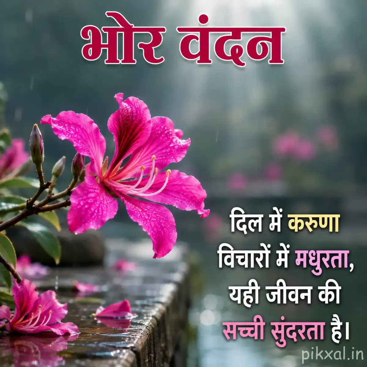 Bright pink flowers on a thin branch beside water, with a Hindi morning wish