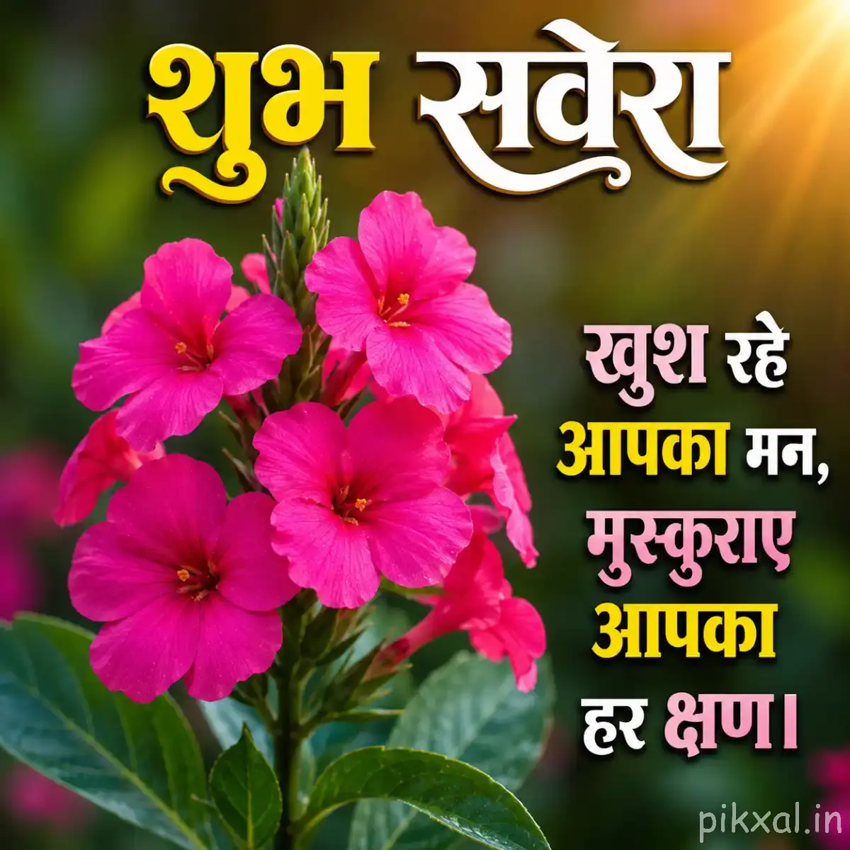 Cluster of bright pink flowers with rounded petals and green leaves beneath a Hindi Good Morning wish