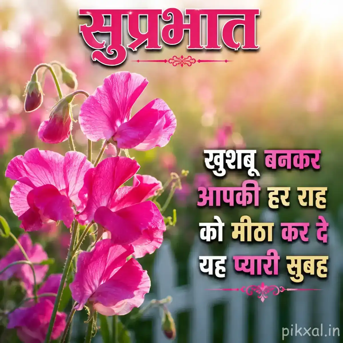 Several bright pink flowers and buds on leafy stems with warm golden bokeh and a Hindi morning wish