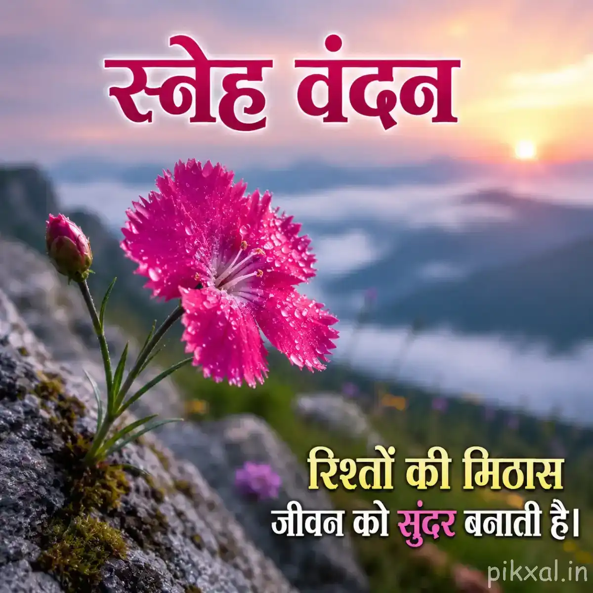 Pink flower with fine petals beside a mountain at sunset with a Hindi morning wish