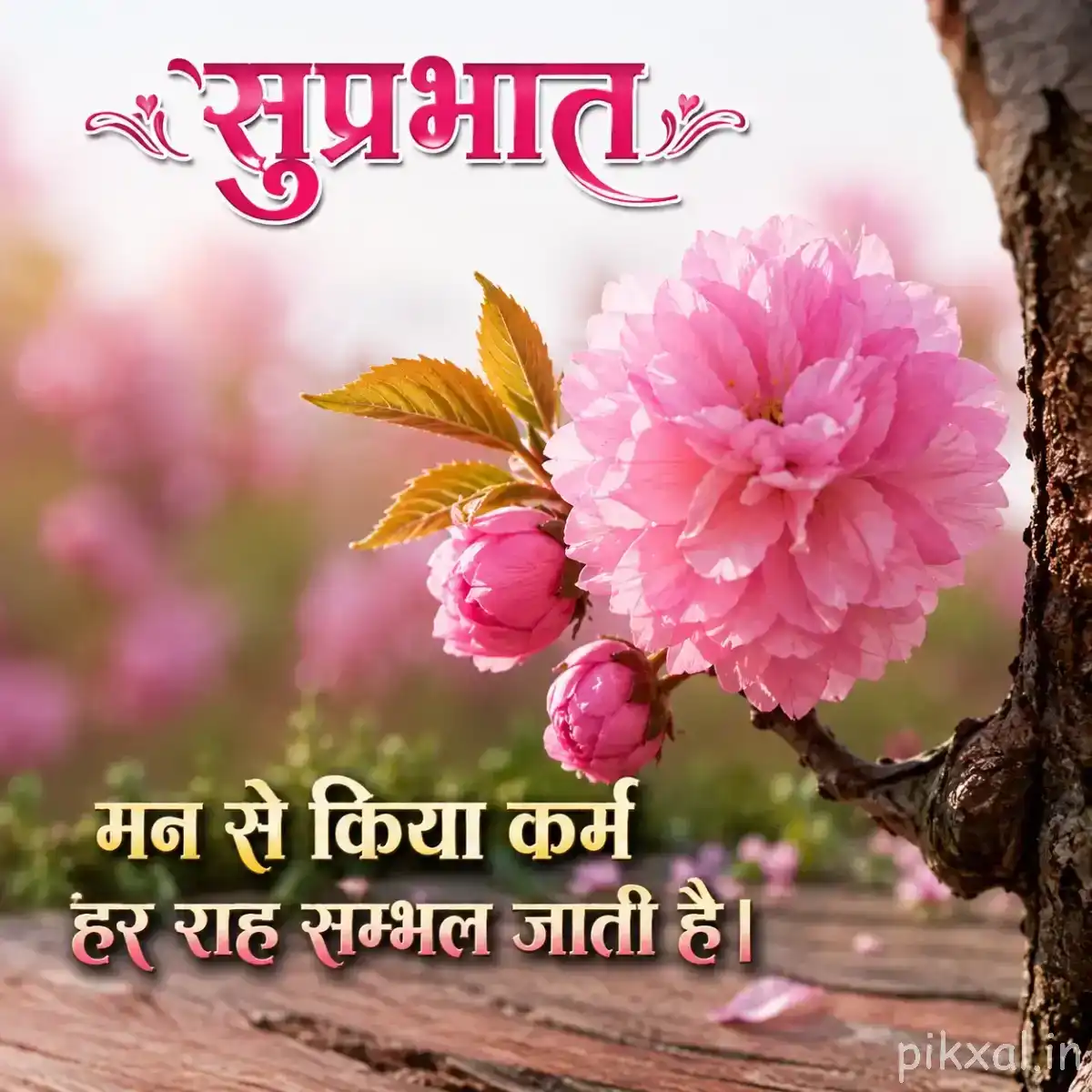 Cluster of pale pink layered flowers with a tree trunk and a Hindi Good Morning message