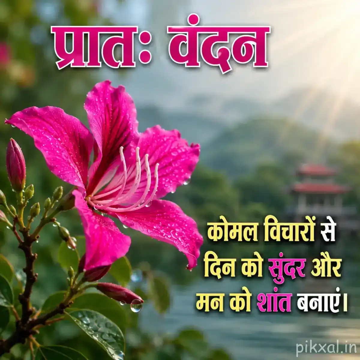 Single bright pink flower with elongated petals and green leaves against a mountain landscape