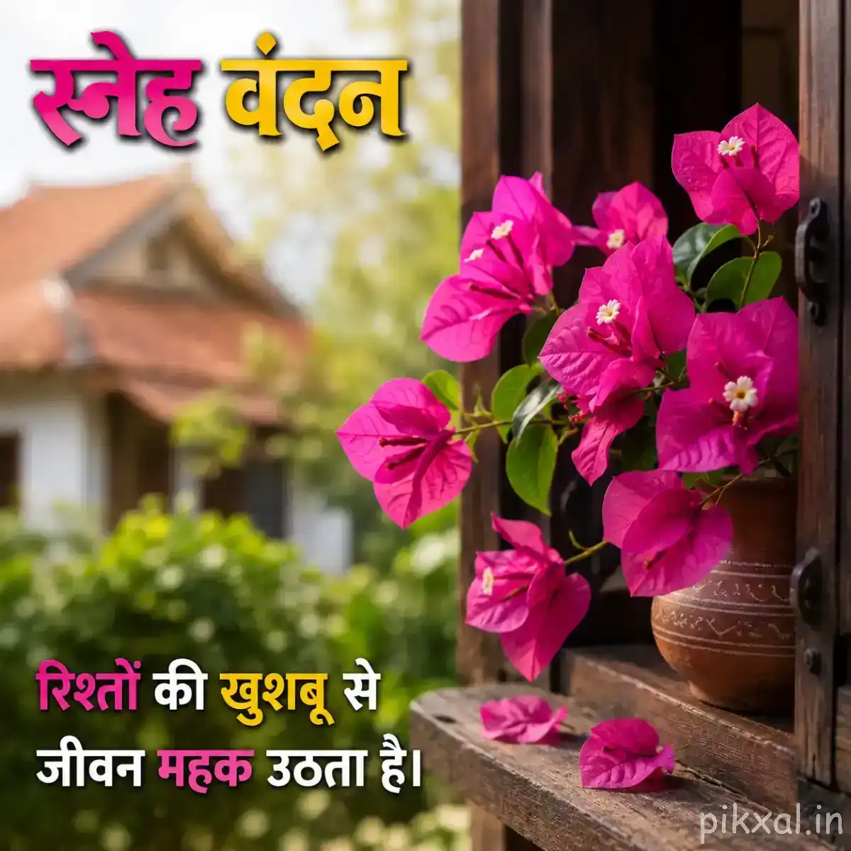 Dense cluster of bright pink flowers with green leaves and terracotta pots in a garden