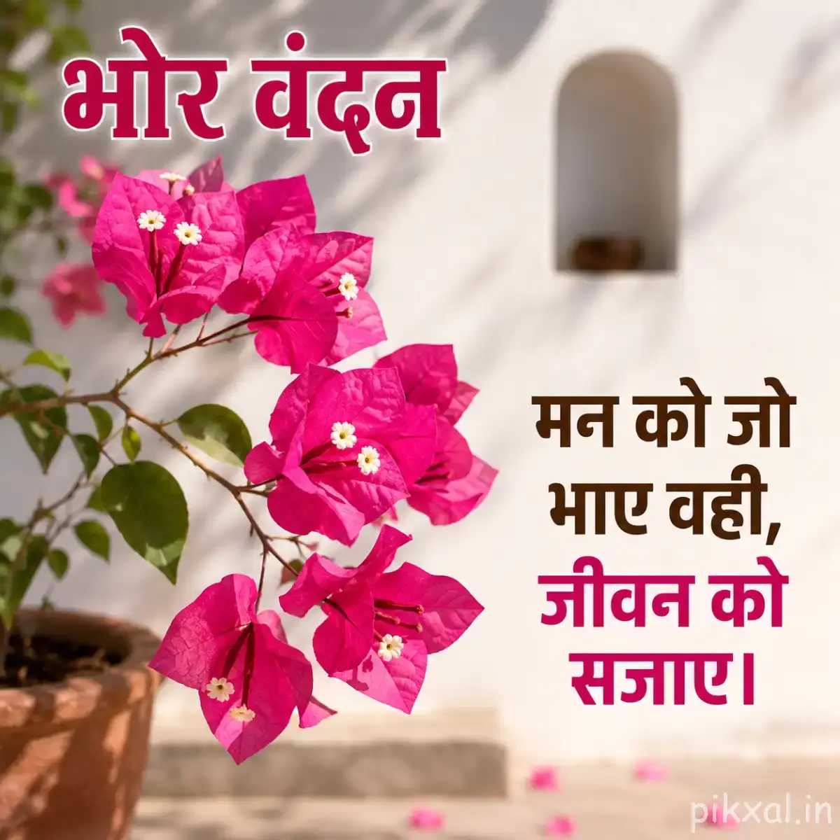 Several bright pink flowers on a leafy branch beside a pale wall with a Hindi morning message