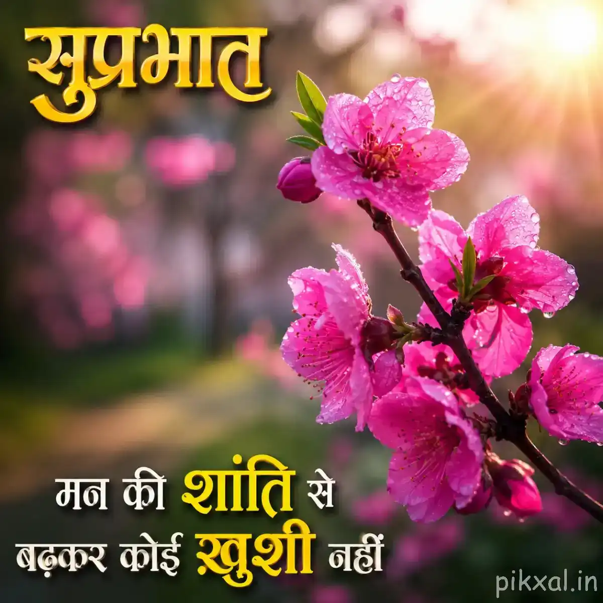 Cluster of pink flowers and buds on a branch with warm blurred greenery and a Hindi morning wish