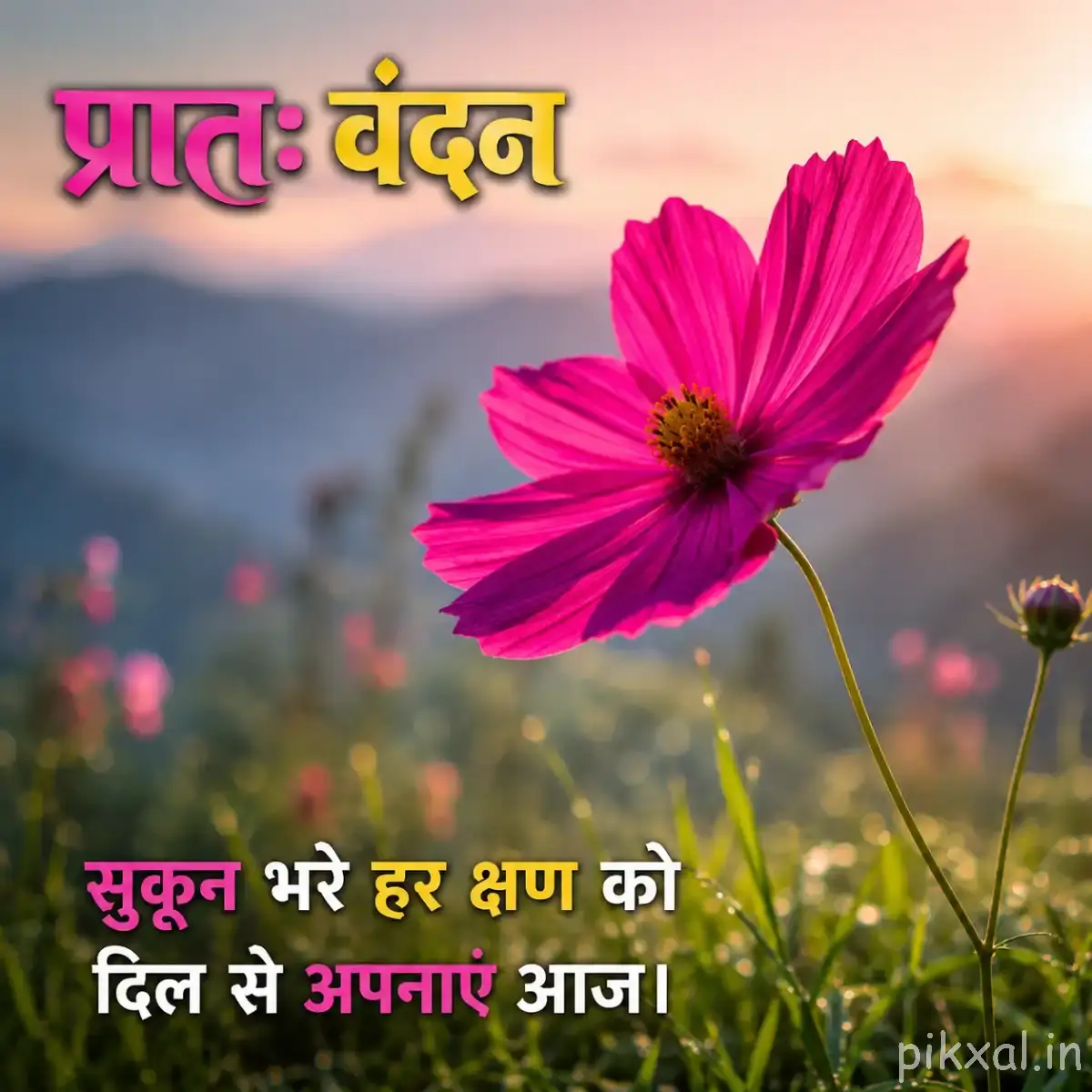 Single vivid pink flower with a yellow center against a softly blurred mountain landscape