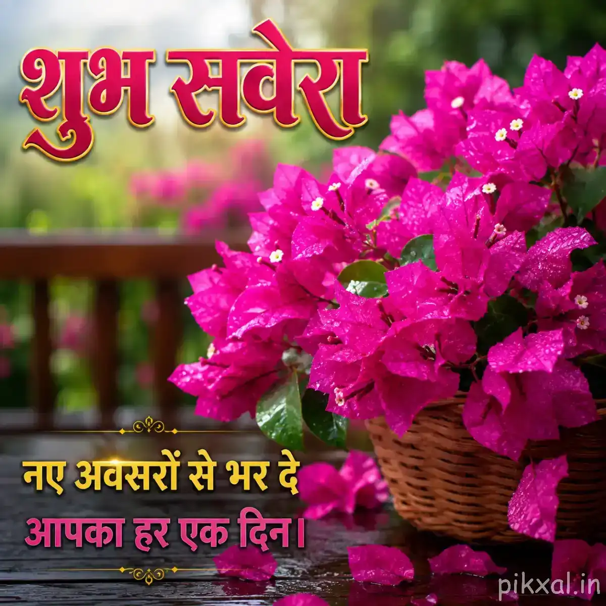 Dense cluster of vivid pink flowers in a woven basket beside a wooden railing with a Hindi morning wish