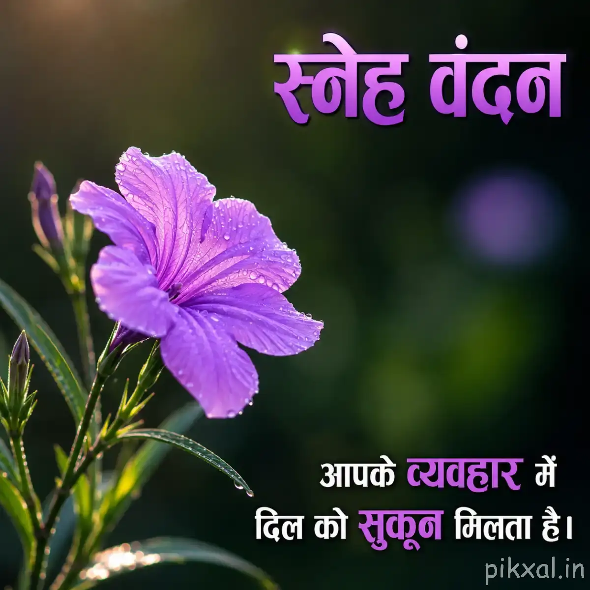 Single purple flower with broad open petals on a slender leafy stem against blurred greenery