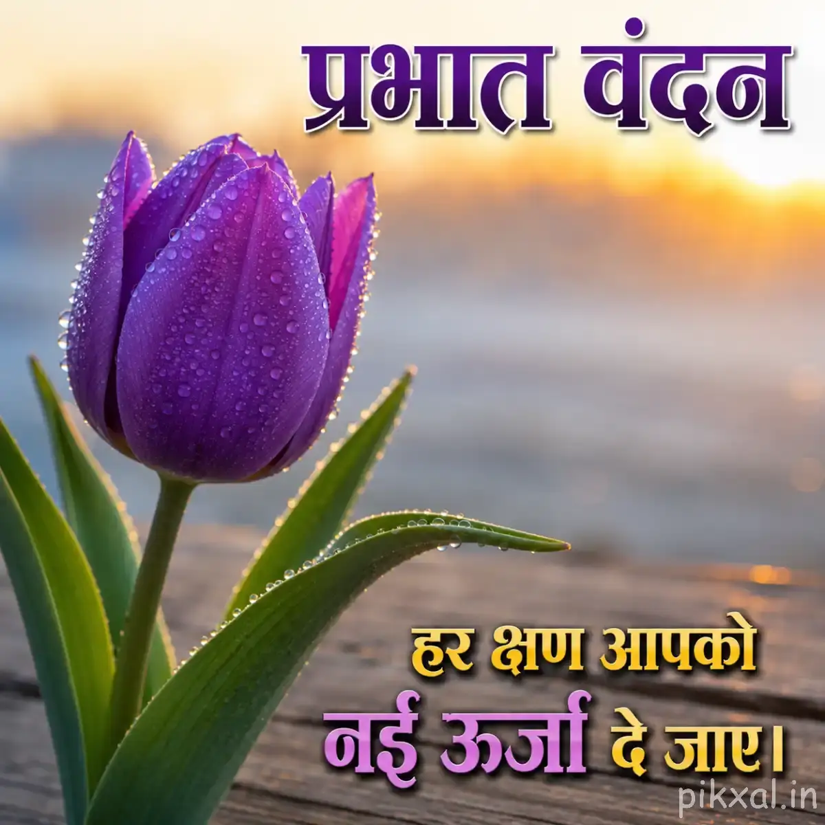 Single closed purple flower bud with elongated petals and green leaves against a bright background