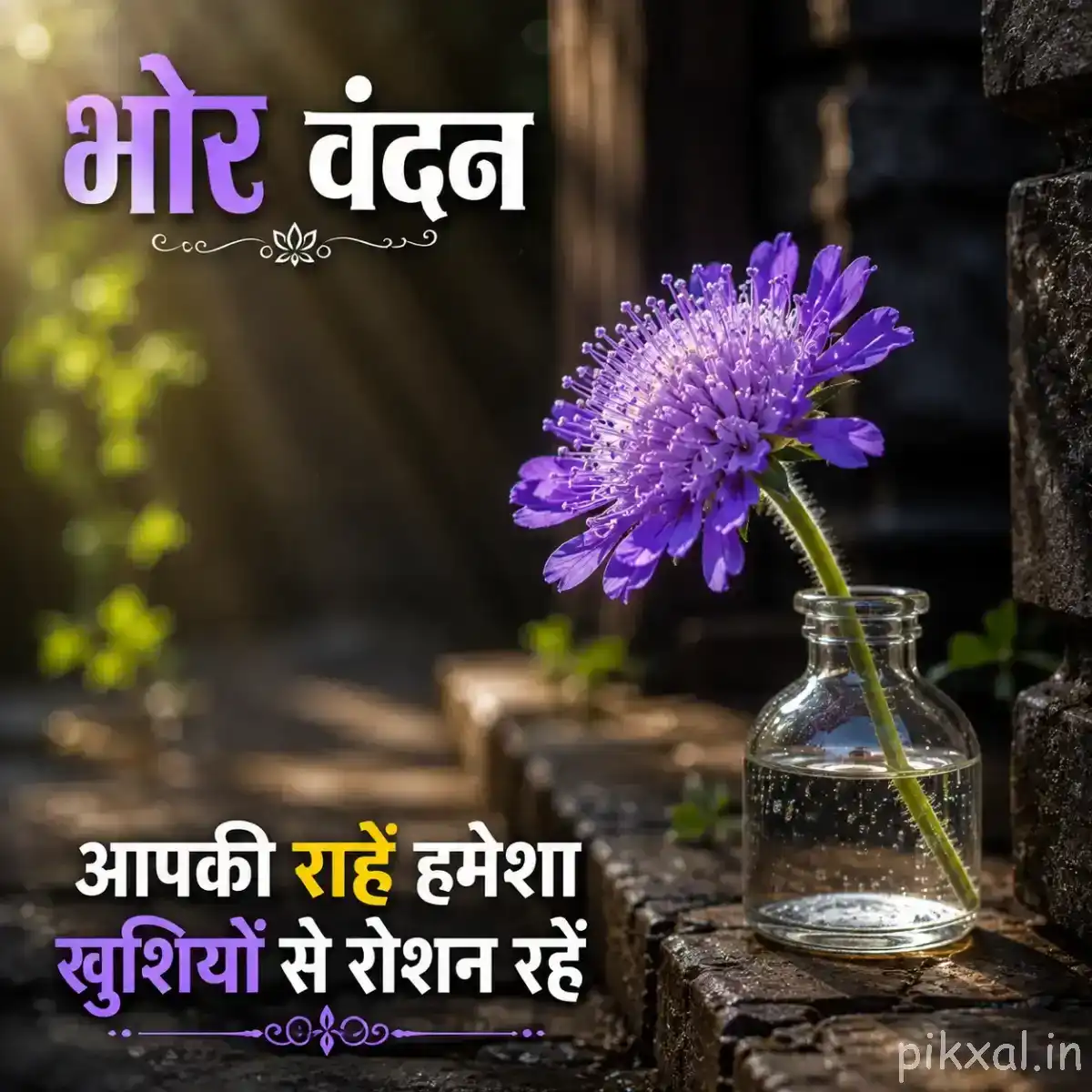 Purple flower arranged in a small glass bottle with green foliage and warm bokeh
