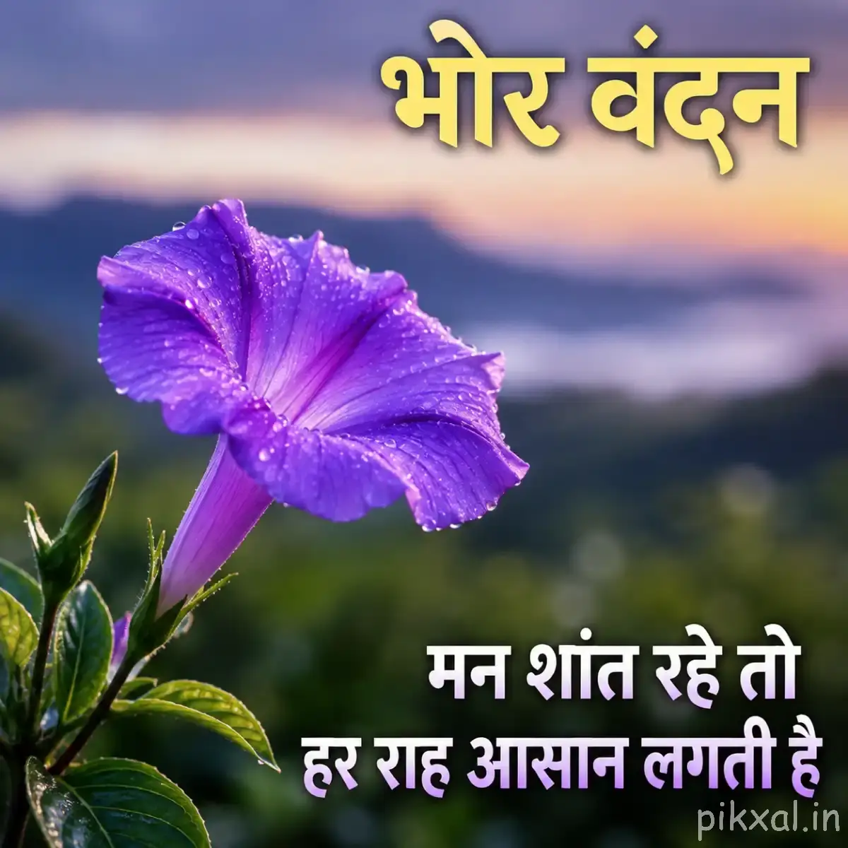 Single purple trumpet-shaped flower with green leaves against a softly blurred mountain landscape