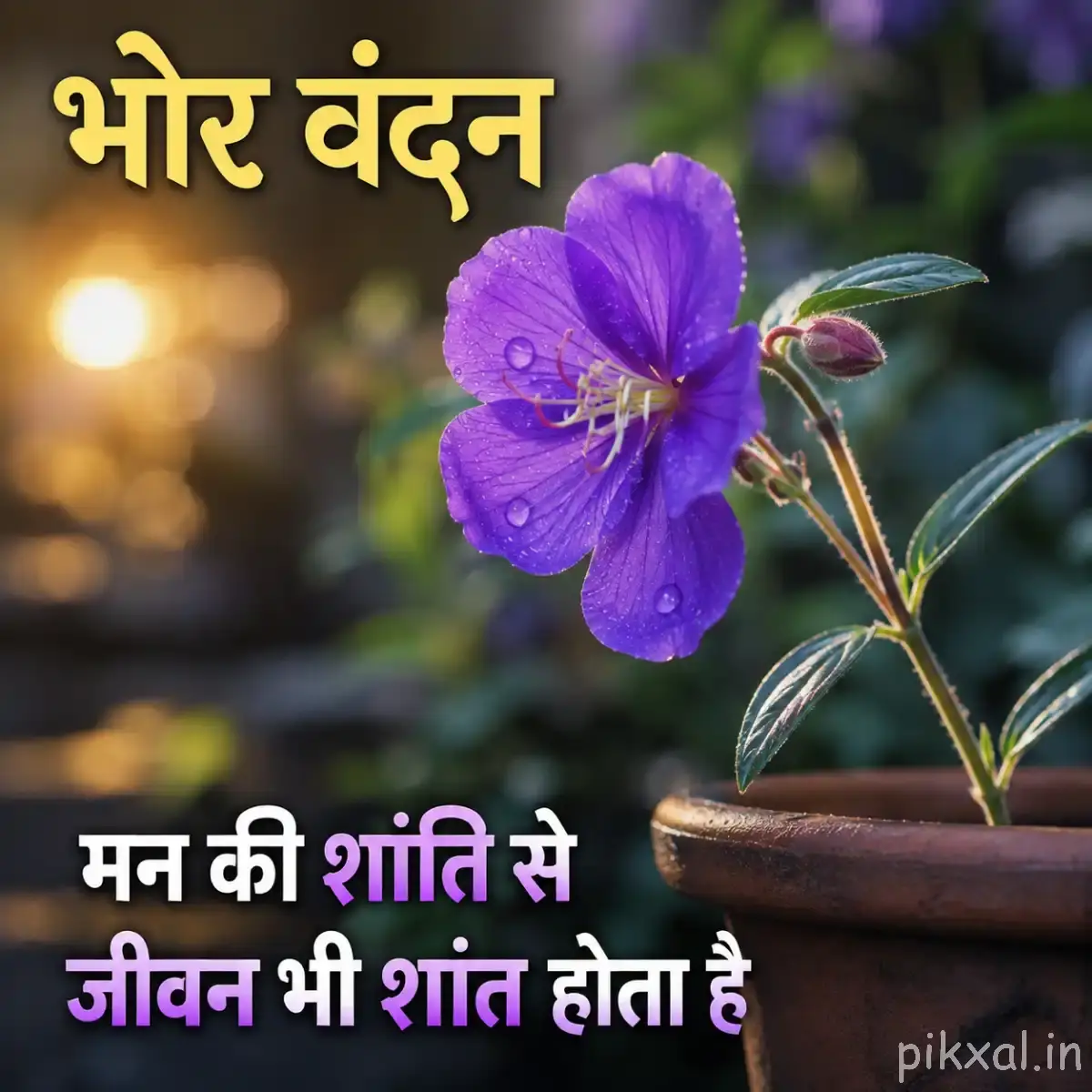 Single purple flower good morning images with green leaves