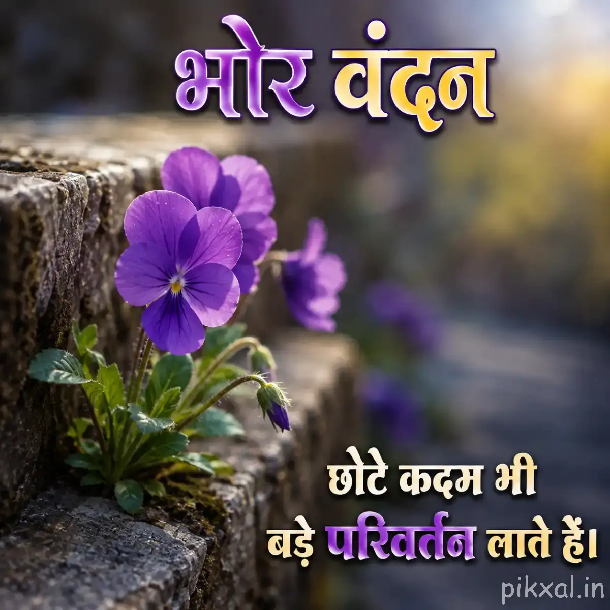Several purple flowers growing beside a rough stone surface with blurred greenery
