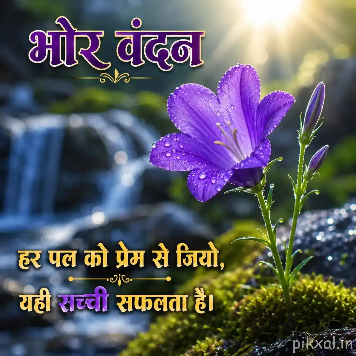 Purple flower with open petals and unopened buds on a slender leafy stem beside a waterfall