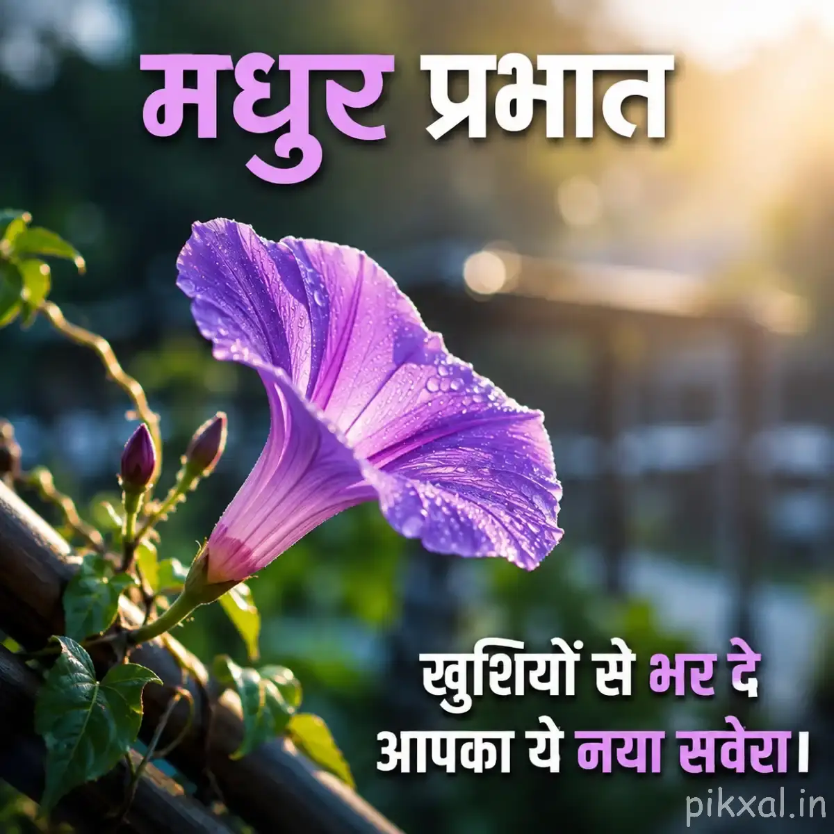 Purple side-facing flower and buds on leafy stems against softly blurred greenery