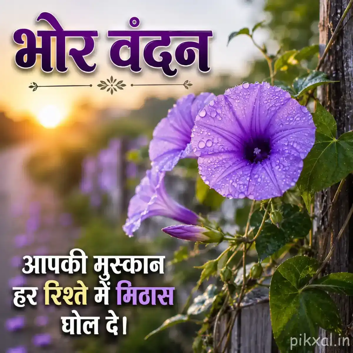 Single purple flower with open petals and a dark center against blurred garden foliage
