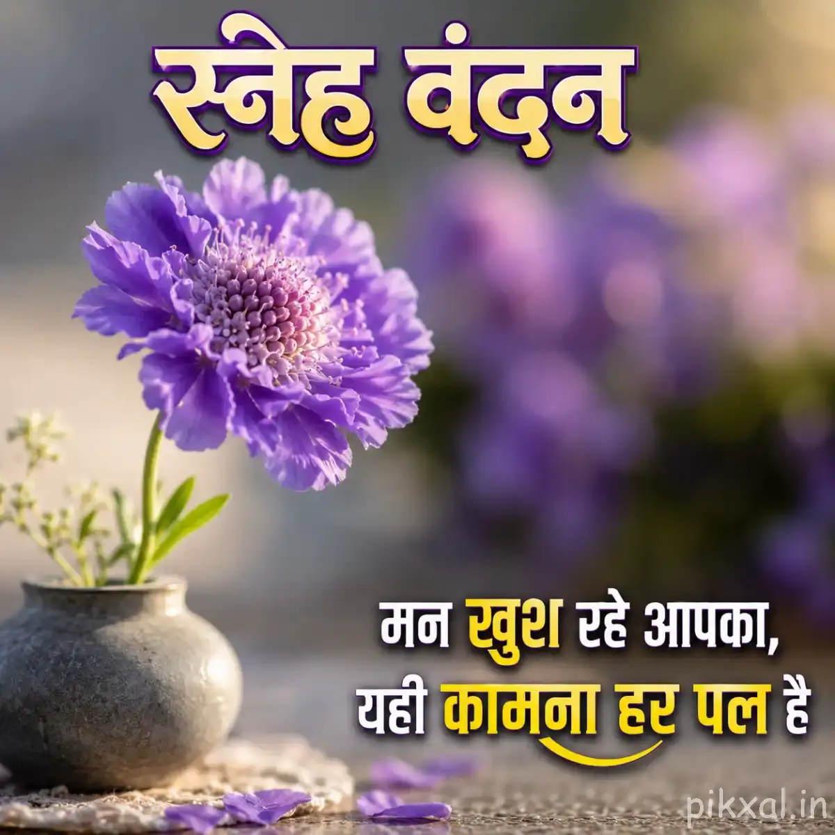 Dense purple flower with many tightly layered petals beside a small white vase