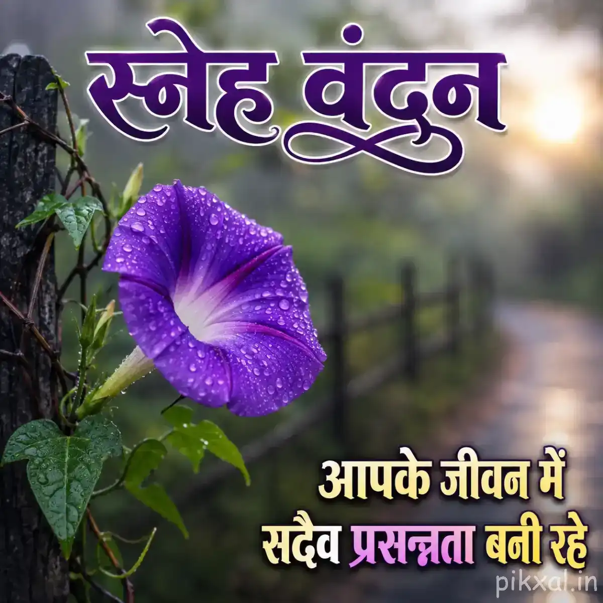 Single purple flower with broad curved petals and green leaves against a blurred garden fence