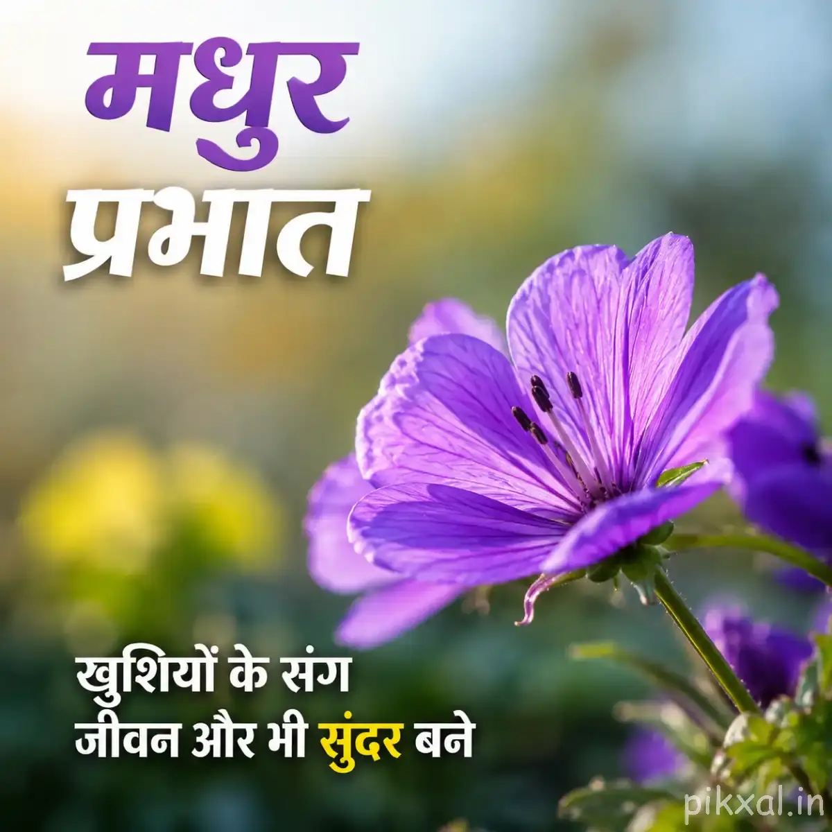 Single pale purple flower with broad open petals and green foliage against a blurred garden background