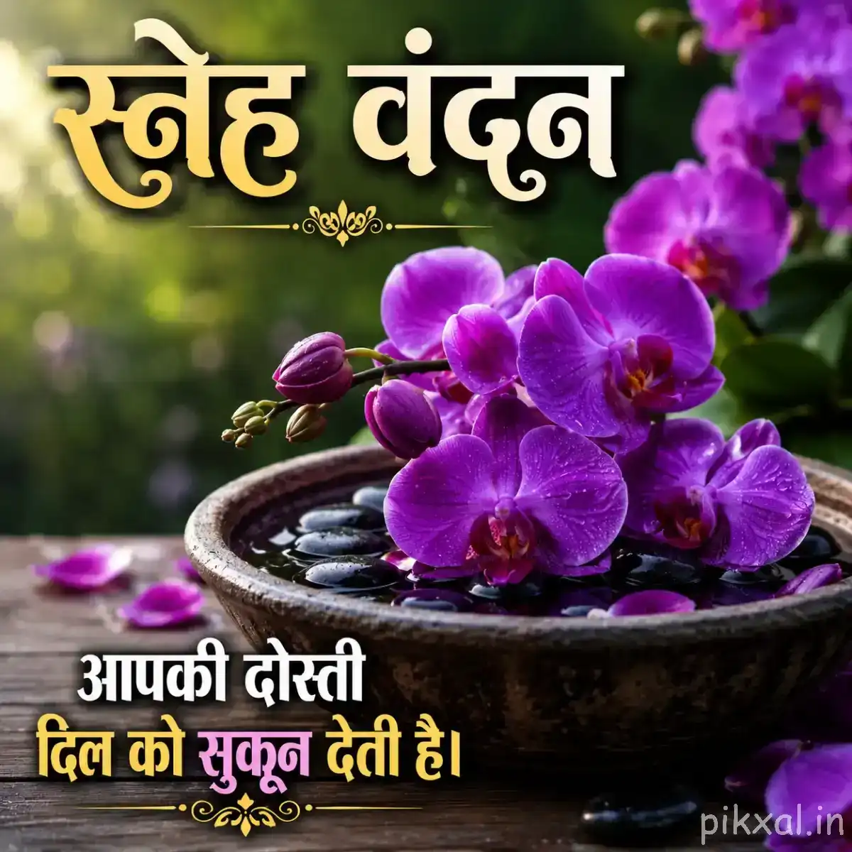 Cluster of purple flowers in a shallow dark bowl with green leaves and scattered petals
