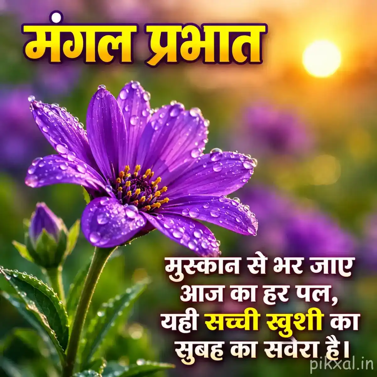 Single vivid purple flower with open petals and a yellow center against blurred greenery