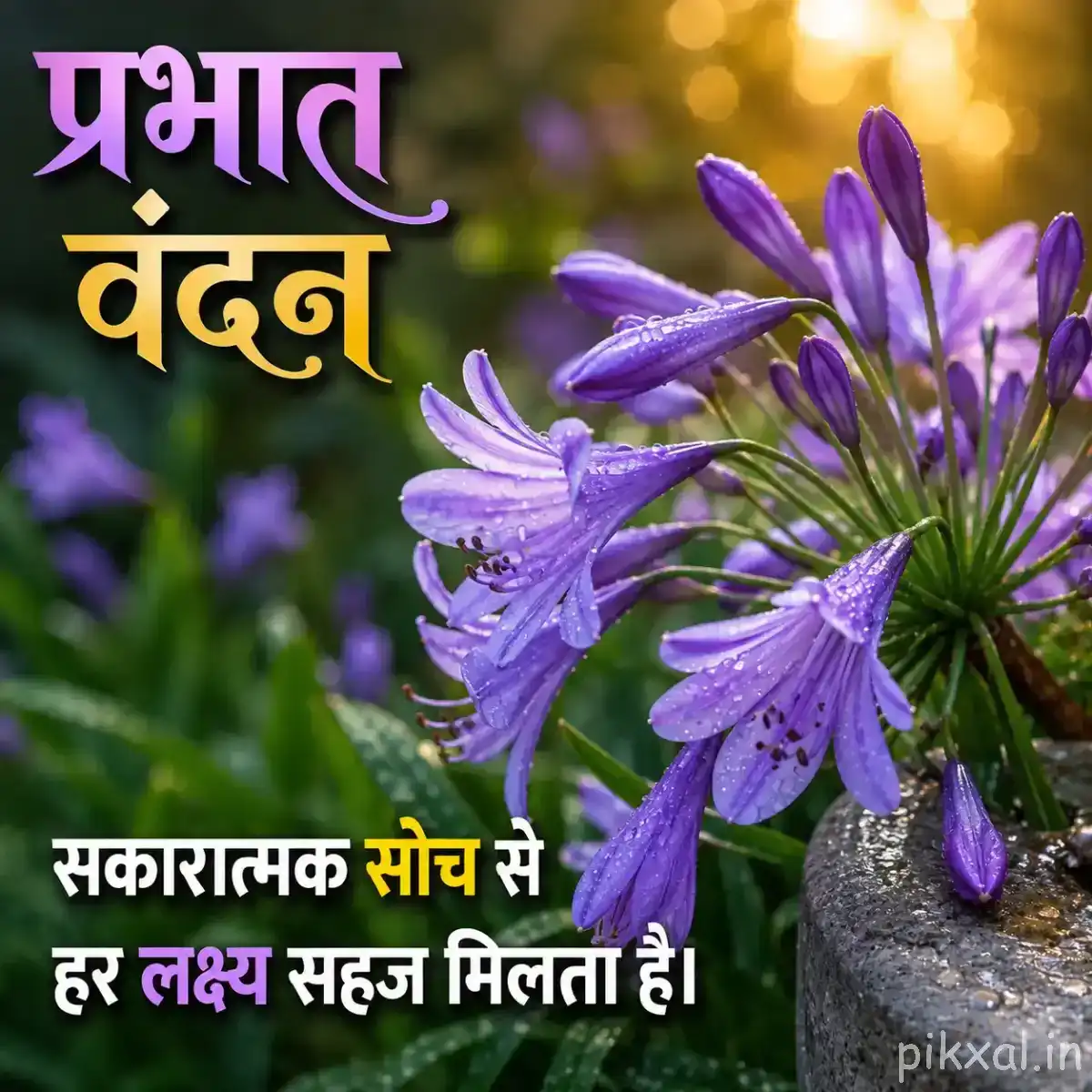 Several purple flowers with narrow petals spreading outward from leafy stems against blurred greenery