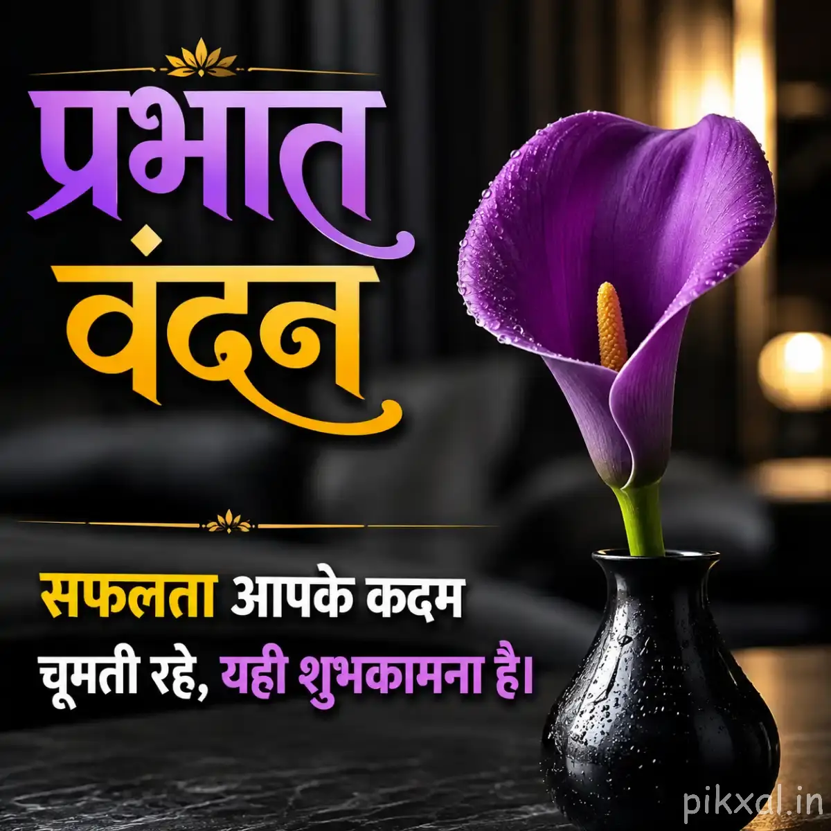 Single dark purple cup-shaped flower standing in a black vase against a softly blurred background