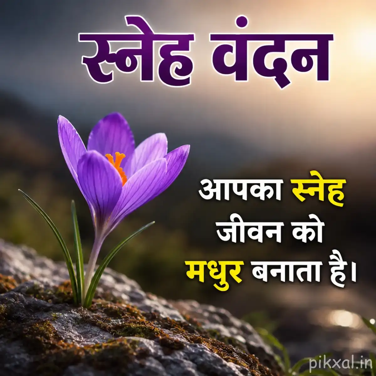 Single small purple flower with curved petals and a yellow center against softly blurred greenery