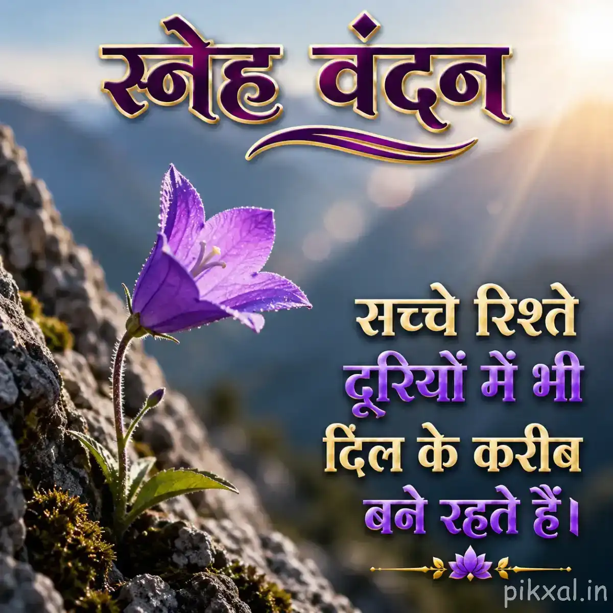 Single purple flower with broad petals growing from a rocky surface against blurred mountains