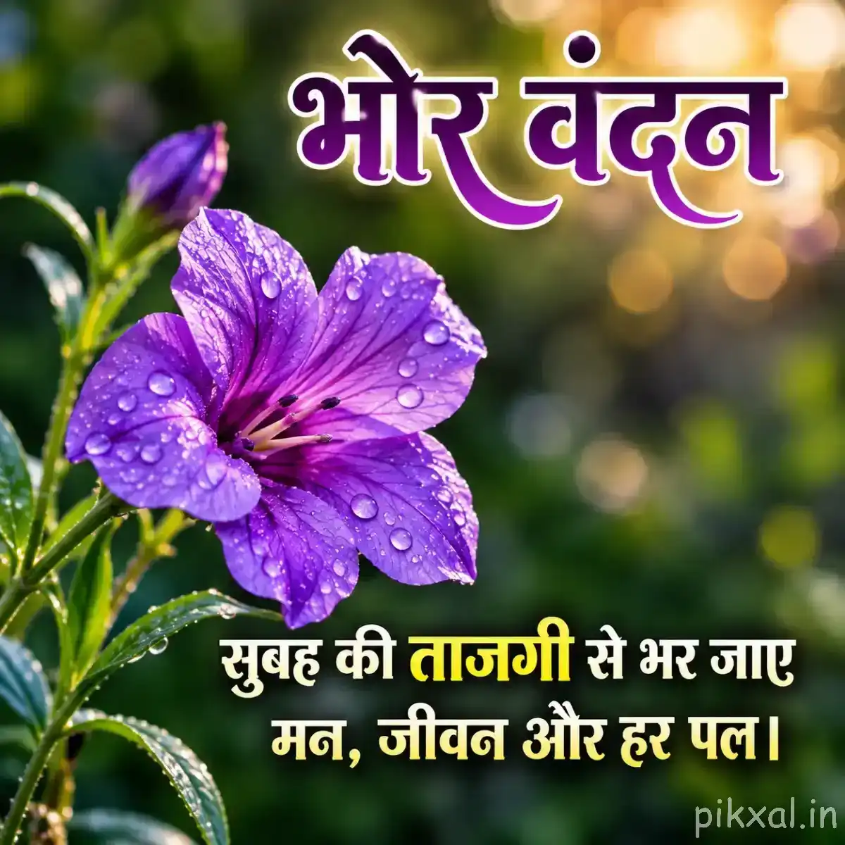 Purple flower with curved petals and green foliage against softly blurred greenery