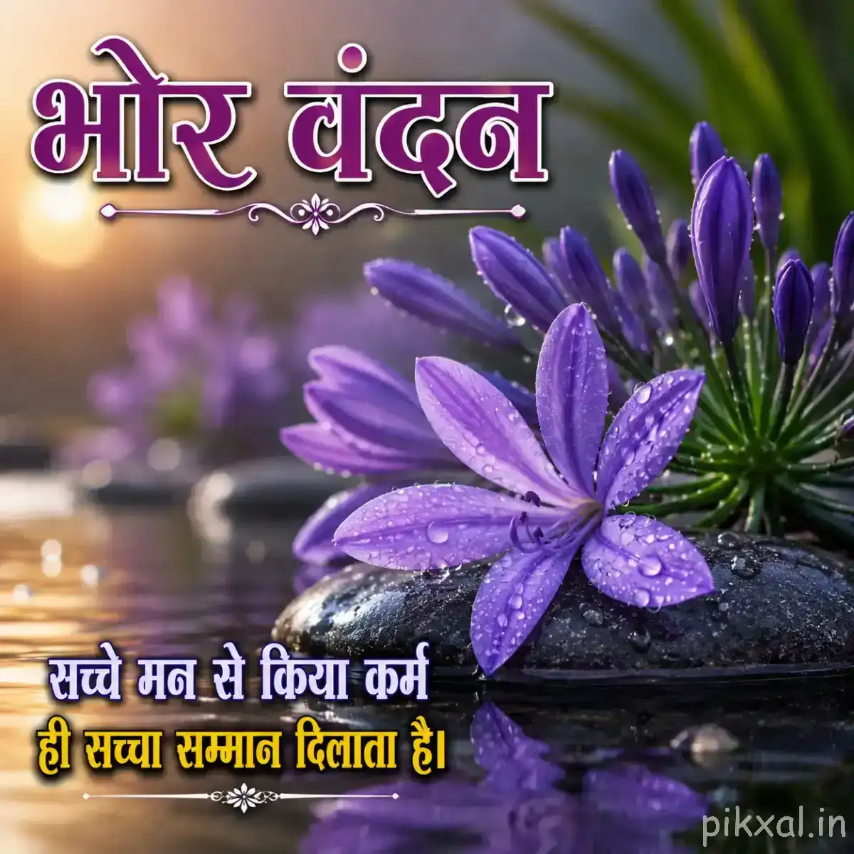 Single purple flower with narrow petals and an orange center beside calm water