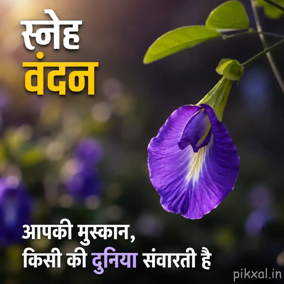 Single purple hanging flower beneath green leaves with a softly blurred garden background